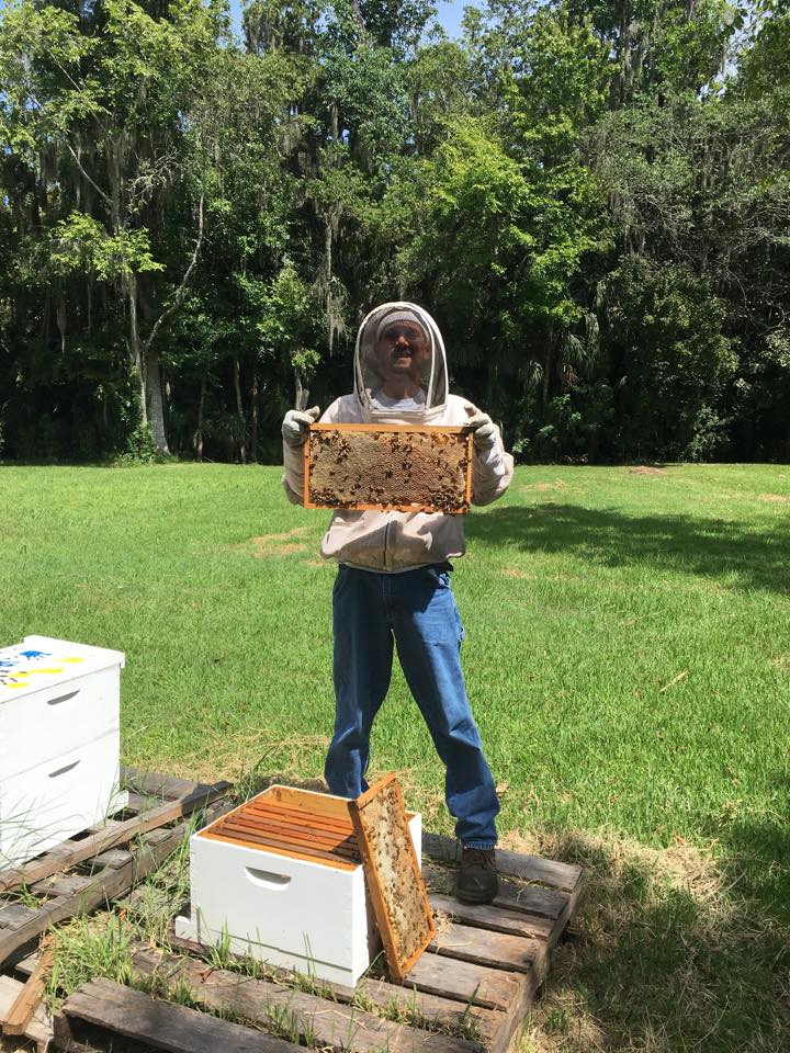 no kill bee removal near me no kill bee removal near me