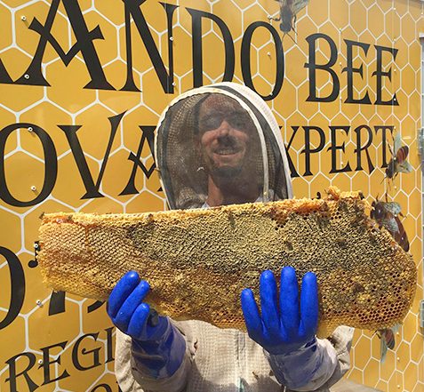 Oviedo FL Bee Farm