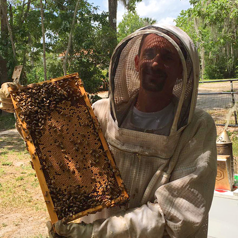 Orlando Bee Removal