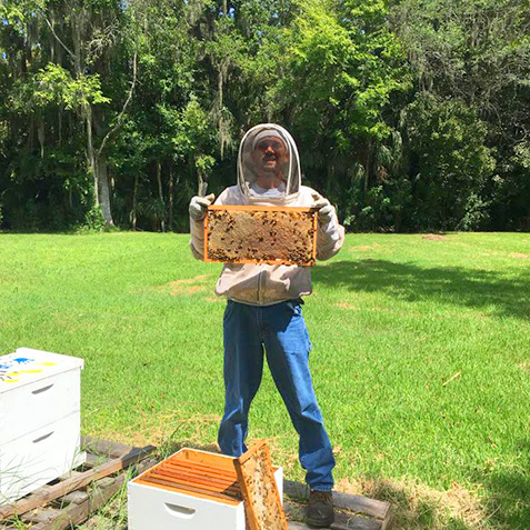 Orlando Bee Removal